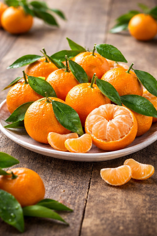 Citrus unshiu Satsuma mandarinka 130-160 cm Citrus unshiu Satsuma strom Citrus Satsuma