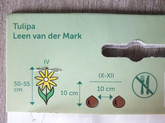 7 x Leen Van der Mark Tulpenzwiebeln - winterharter Pflanzen für Garten und Balkon -mehrjährig - für Topf und Beet