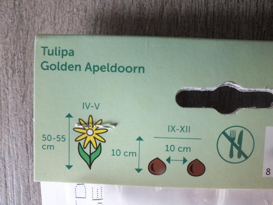 7 x Golden Apeldoorn Tulpenzwiebeln - winterharter Pflanzen für Garten und Balkon -mehrjährig - für Topf und Beet