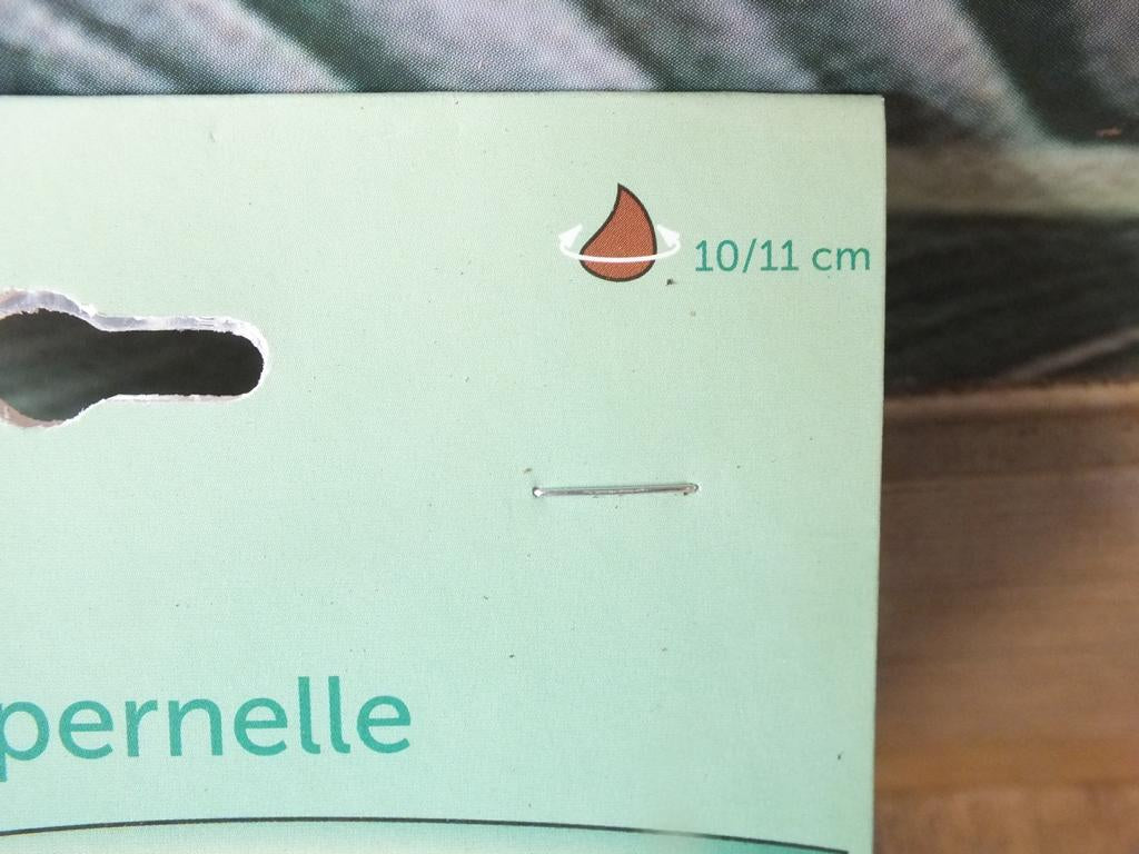 7 Narzissen Double Campernelle Blumenzwiebeln - winterharter Pflanzen für Garten und Balkon -mehrjährig - für Topf und Beet