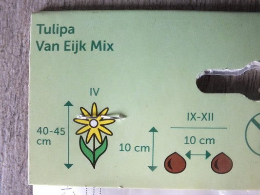 7 x Van Eijk Mix Tulpenzwiebeln - winterharter Pflanzen für Garten und Balkon -mehrjährig - für Topf und Beet