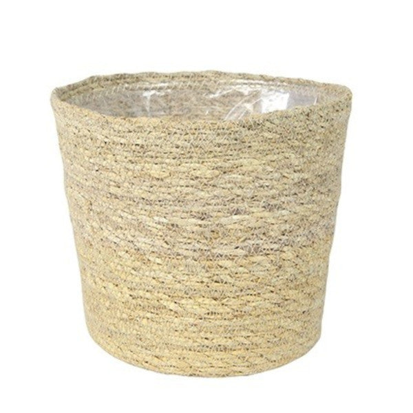 Goldfruchtpalme Arecapalme Chrysalidocarpus lutescens