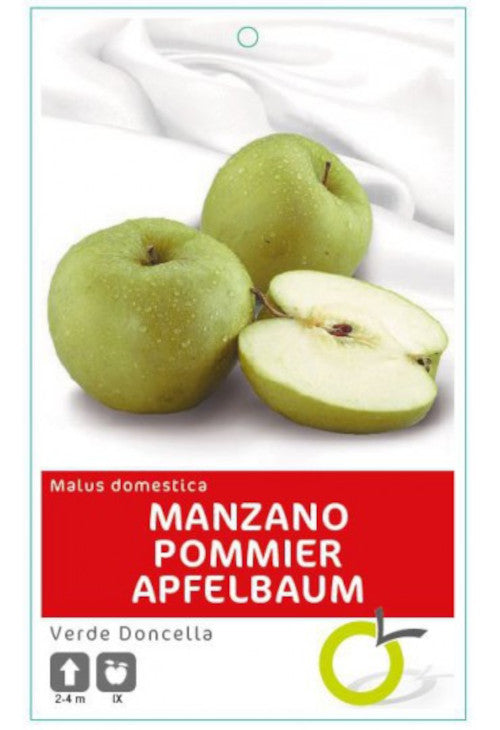 Malus dom. 'Verde Doncella' 170-200 cm / Stamm 80-100 cm - Apfelbaum Grünes Mäd