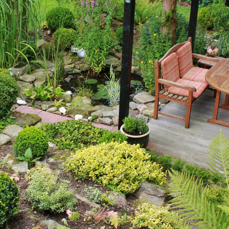 Garten und Freiland