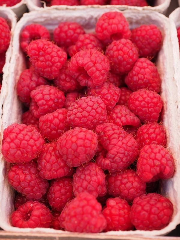 Rubus idaeus 'Himbo Top – Vysoce výnosná malinová rostlina 60-70 cm pro vaši zahradu'