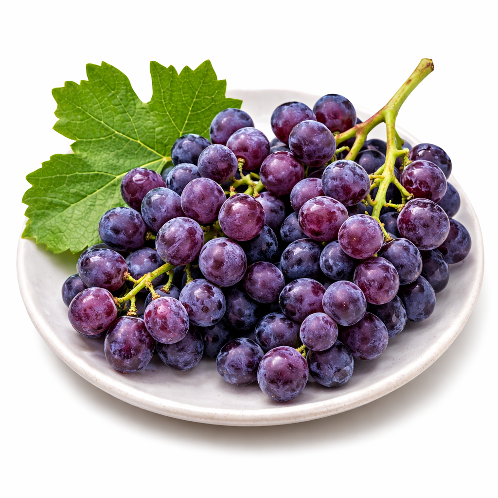 2 Stück Rote Tafeltraube 'Boskoop Glory' (Vitis vinifera) – Winterharte Weinrebe, 30–50 cm inkl. Topf, aromatische Trauben für Garten & Terrasse