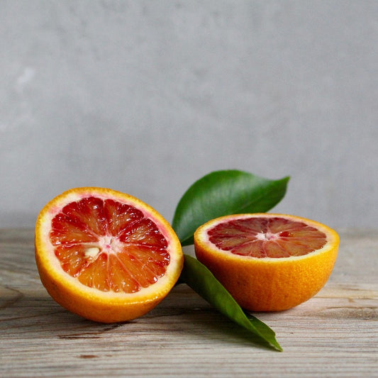 Pomerančovník červený Tarocco (Citrus sinensis 'Tarokko') – středomořský krvavý pomerančovník vysoký 120-160 cm, ideální do zahrady a na terasu
