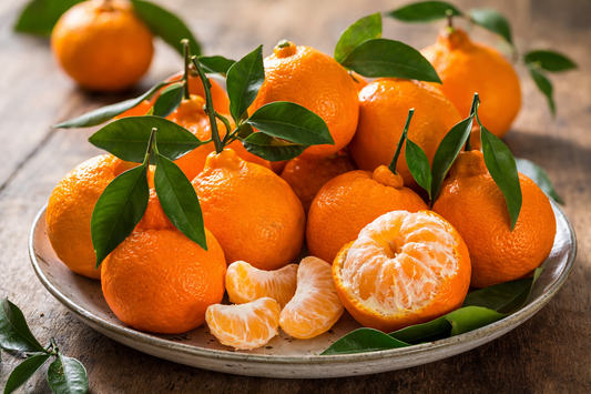 Zitronenbaum Clementine Spinoso (120-150 cm) – Süße Clementine für deinen Garten
