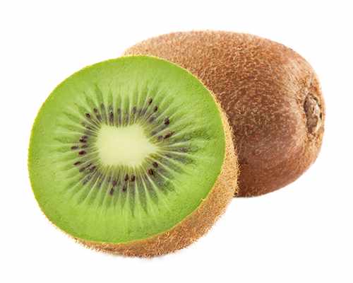 Kiwi Pflanze 70 cm Actinidia deliciosa - Chinesische Stachelbeere