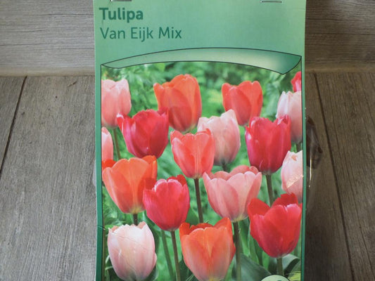 7 x Van Eijk Mix Tulpenzwiebeln - winterharter Pflanzen für Garten und Balkon -mehrjährig - für Topf und Beet