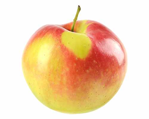 Podzimní jabloň 'Gala' - Malus 'Gala'