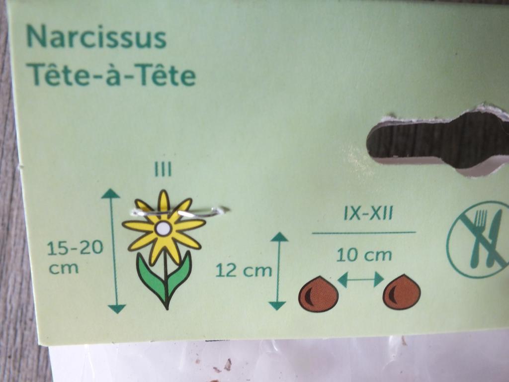 7 cibulovin narcisu Tete-a-Tete - mrazuvzdorné rostliny do zahrady a na balkon - trvalky - do květináčů a záhonů